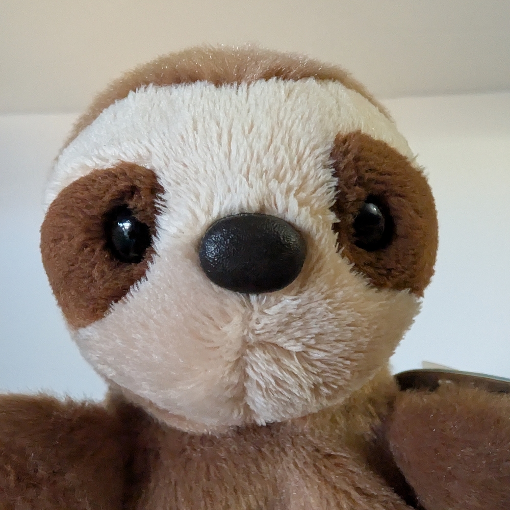 Adorable Brown and Cream Sloth Plush Toy